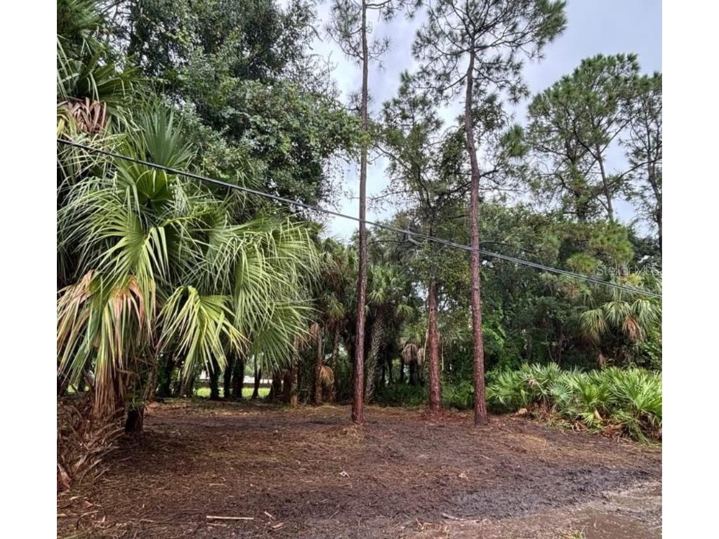 617 Harrington Street SW Palm Bay FL 32908 S5128517 image4