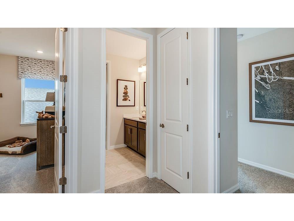 617 Moon Shell Circle New Smyrna Beach FL 32168 O6405151 image17