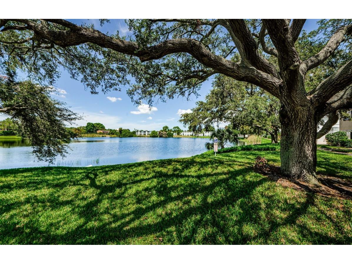 617 N Keene Road #Q10 Clearwater FL 33755 TB8381702 image19