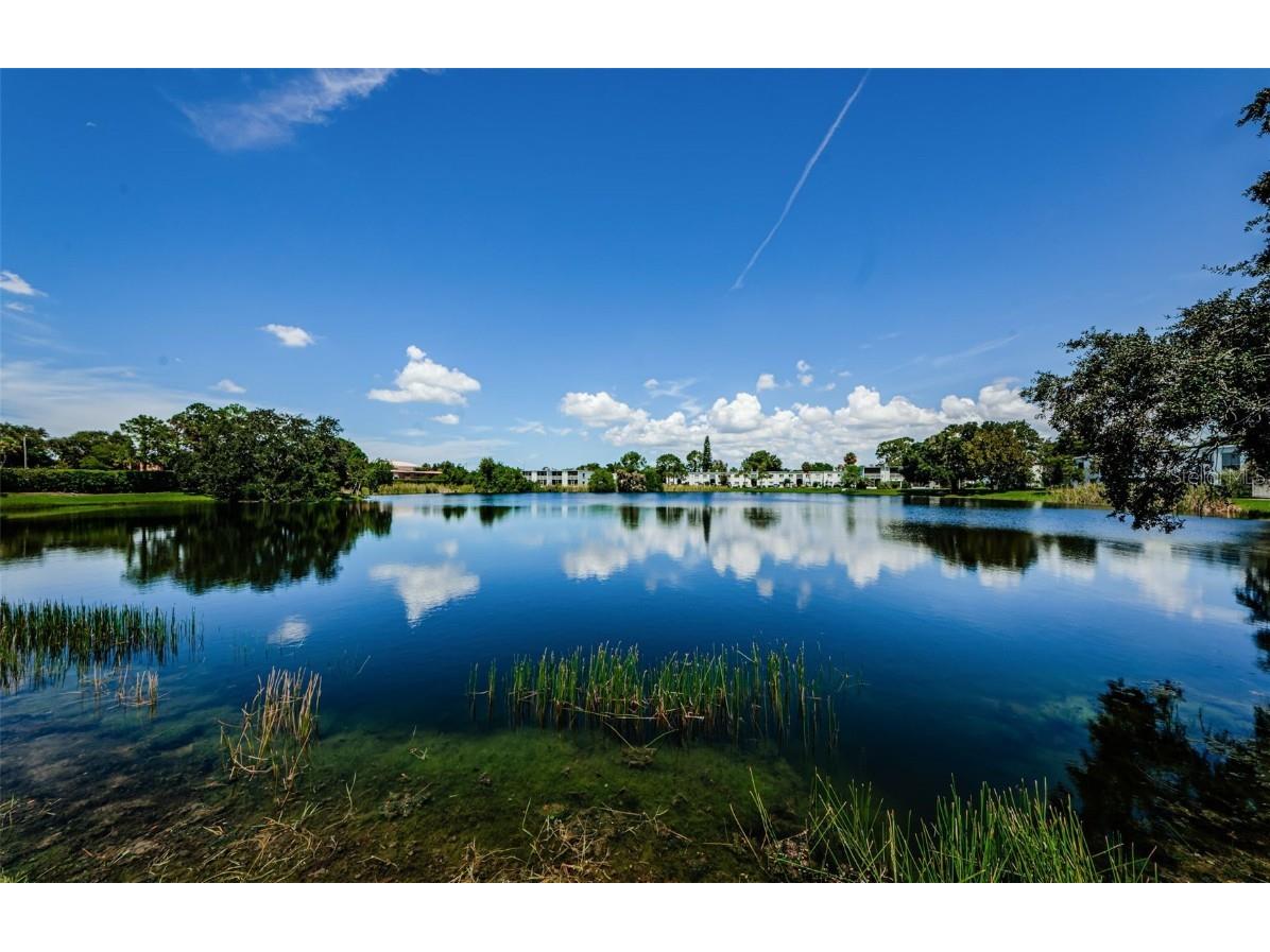 617 N Keene Road #Q10 Clearwater FL 33755 TB8381702 image20