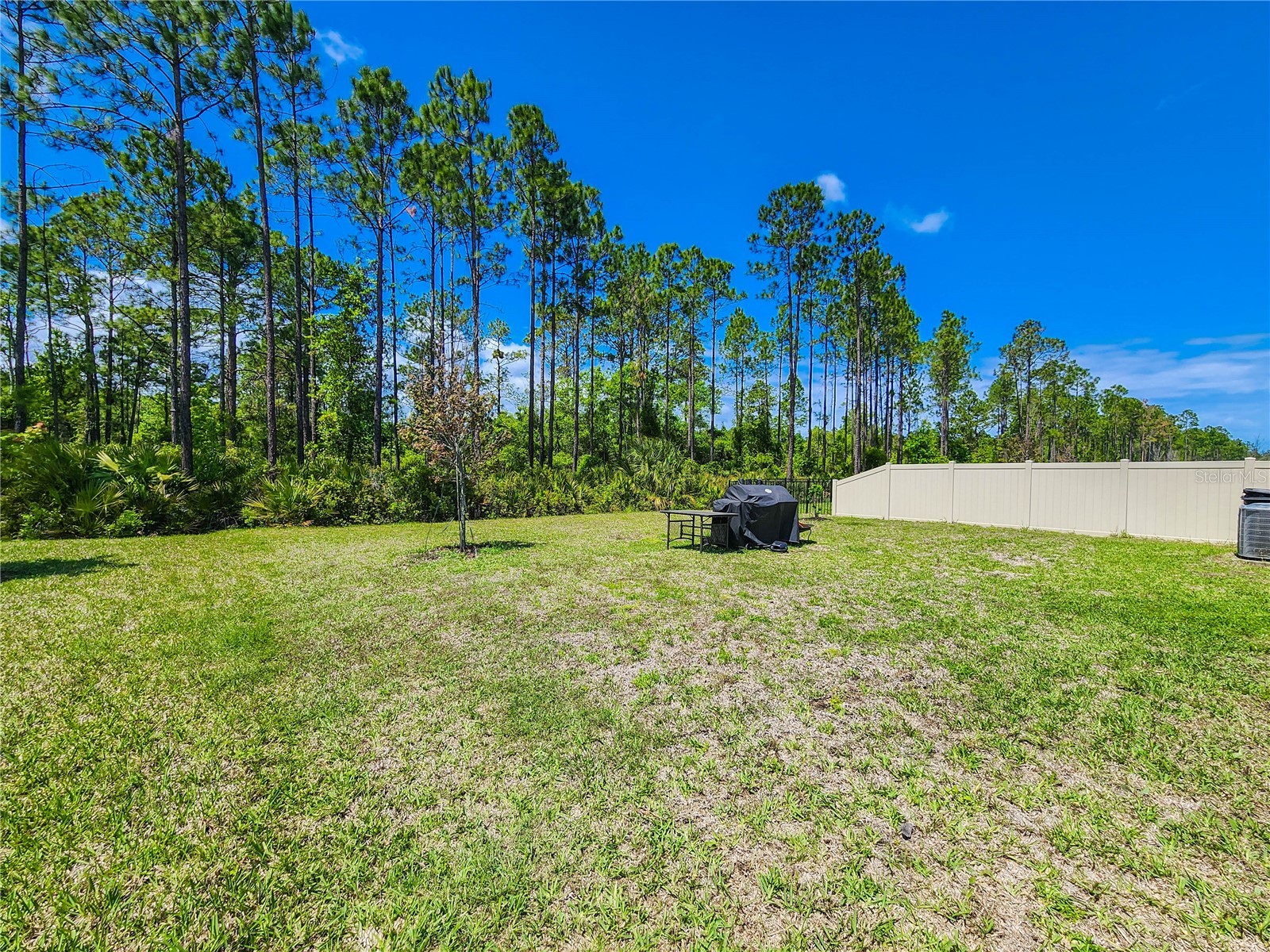 617 Narvarez Avenue Saint Augustine FL 32084 FC317978 image49