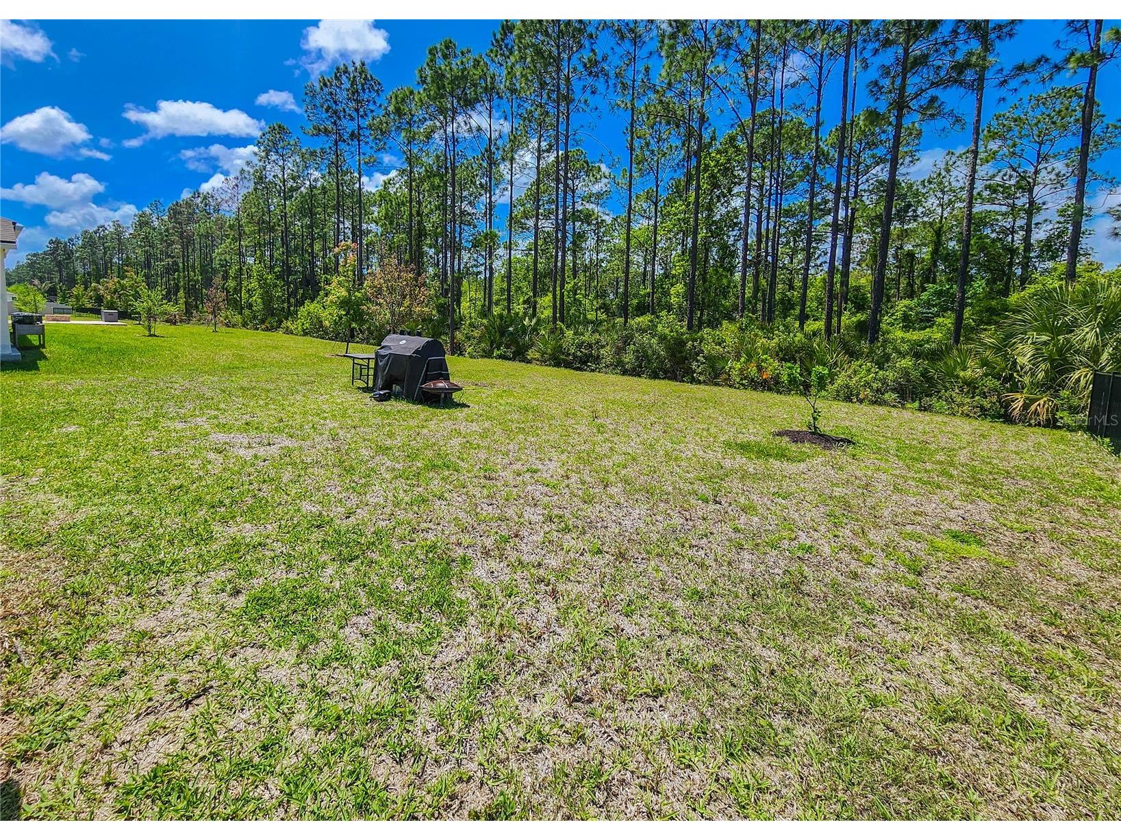 617 Narvarez Avenue Saint Augustine FL 32084 FC317978 image53