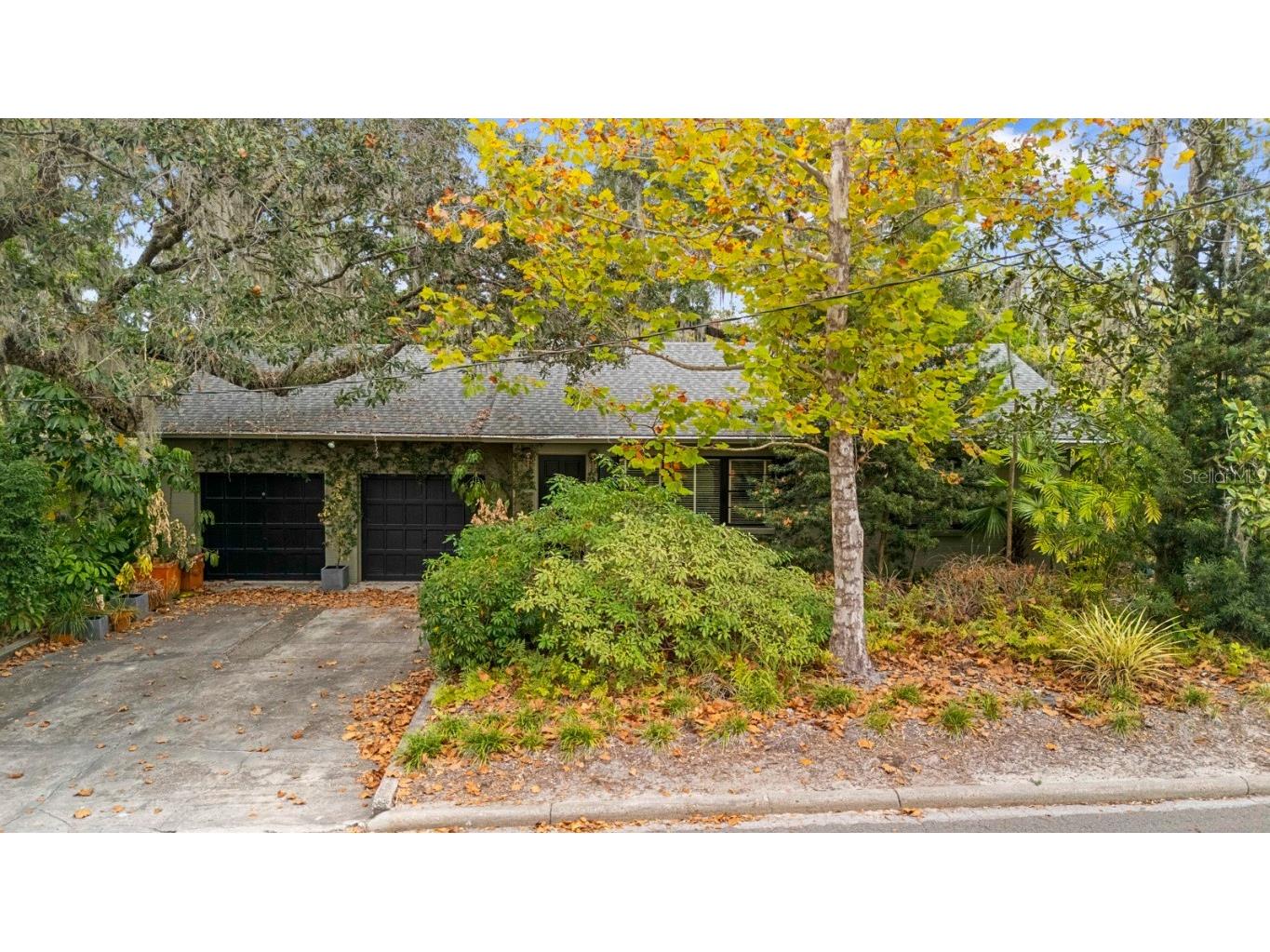 617 S Riverhills Drive Temple Terrace FL 33617 TB8453607 image1