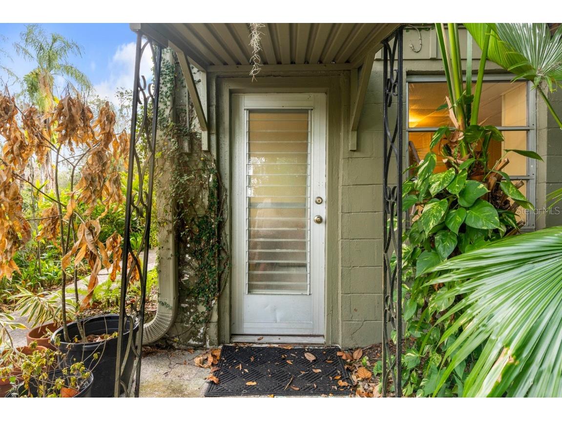 617 S Riverhills Drive Temple Terrace FL 33617 TB8453607 image37