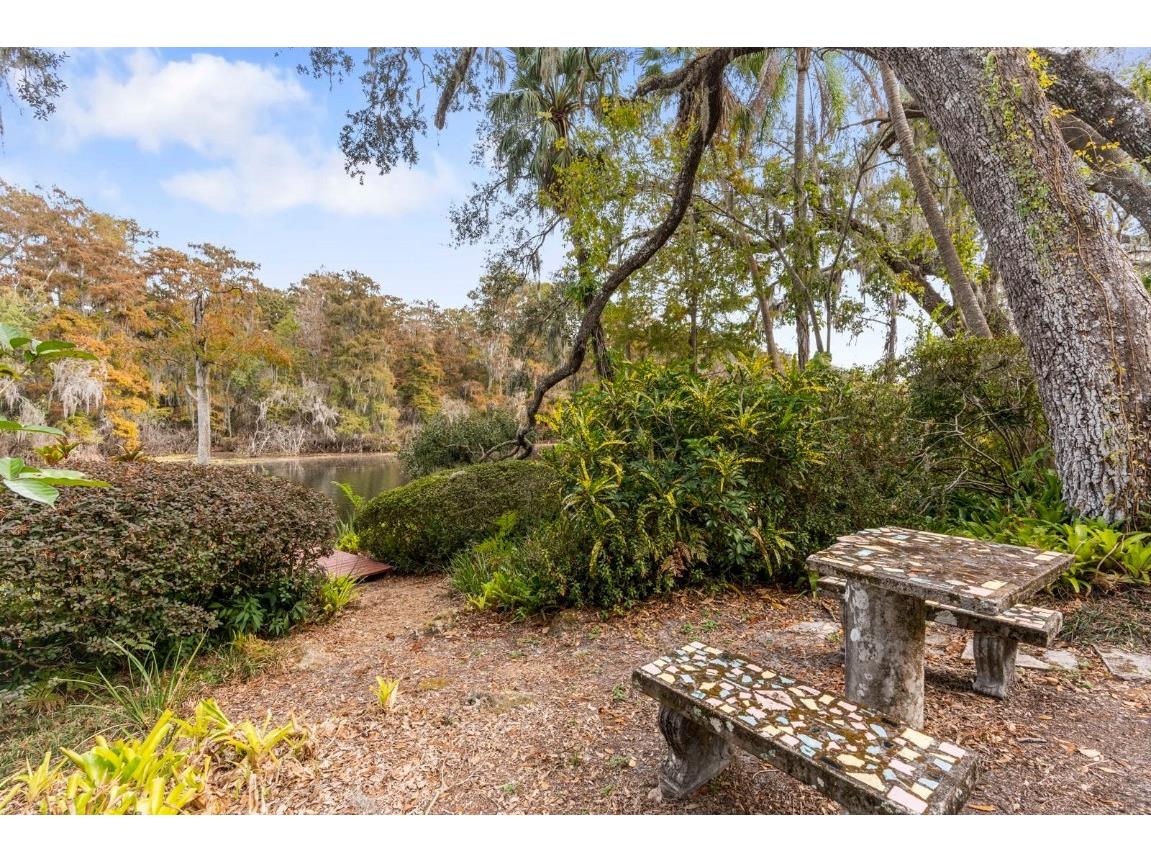 617 S Riverhills Drive Temple Terrace FL 33617 TB8453607 image49