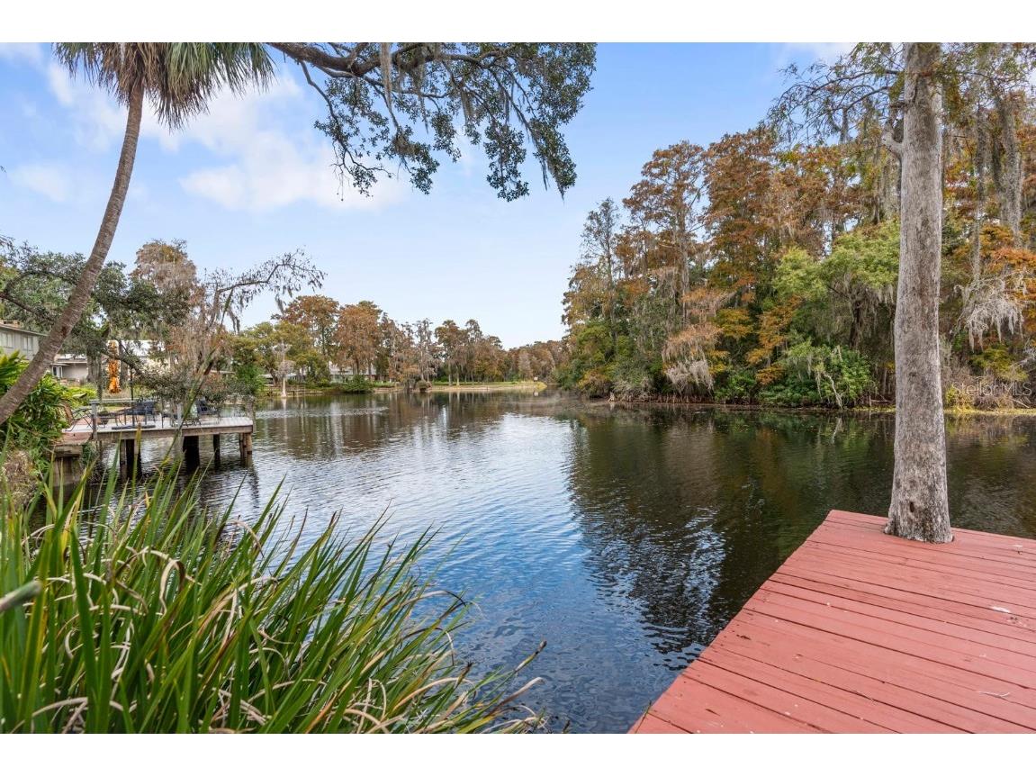 617 S Riverhills Drive Temple Terrace FL 33617 TB8453607 image51