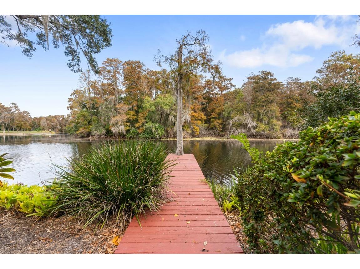 617 S Riverhills Drive Temple Terrace FL 33617 TB8453607 image52