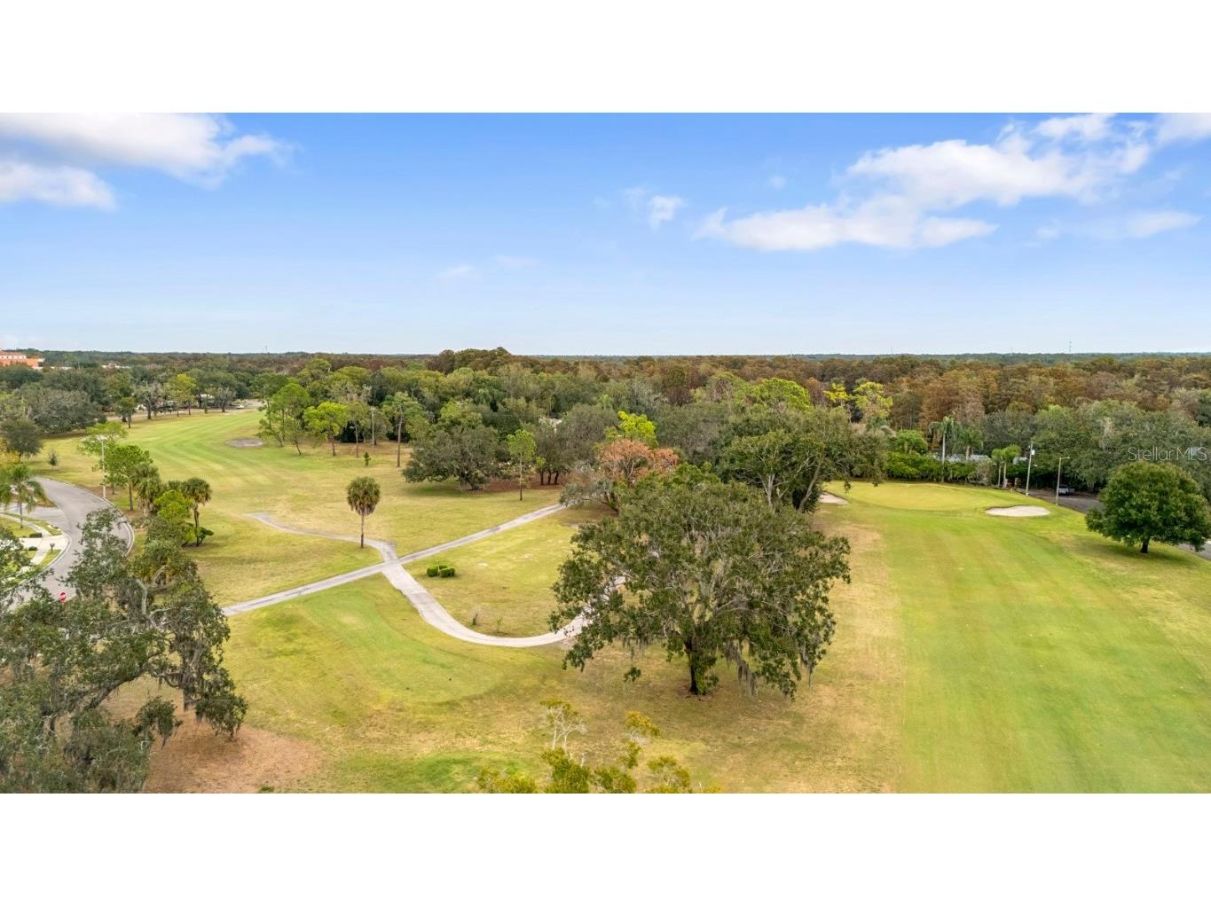 617 S Riverhills Drive Temple Terrace FL 33617 TB8453607 image62