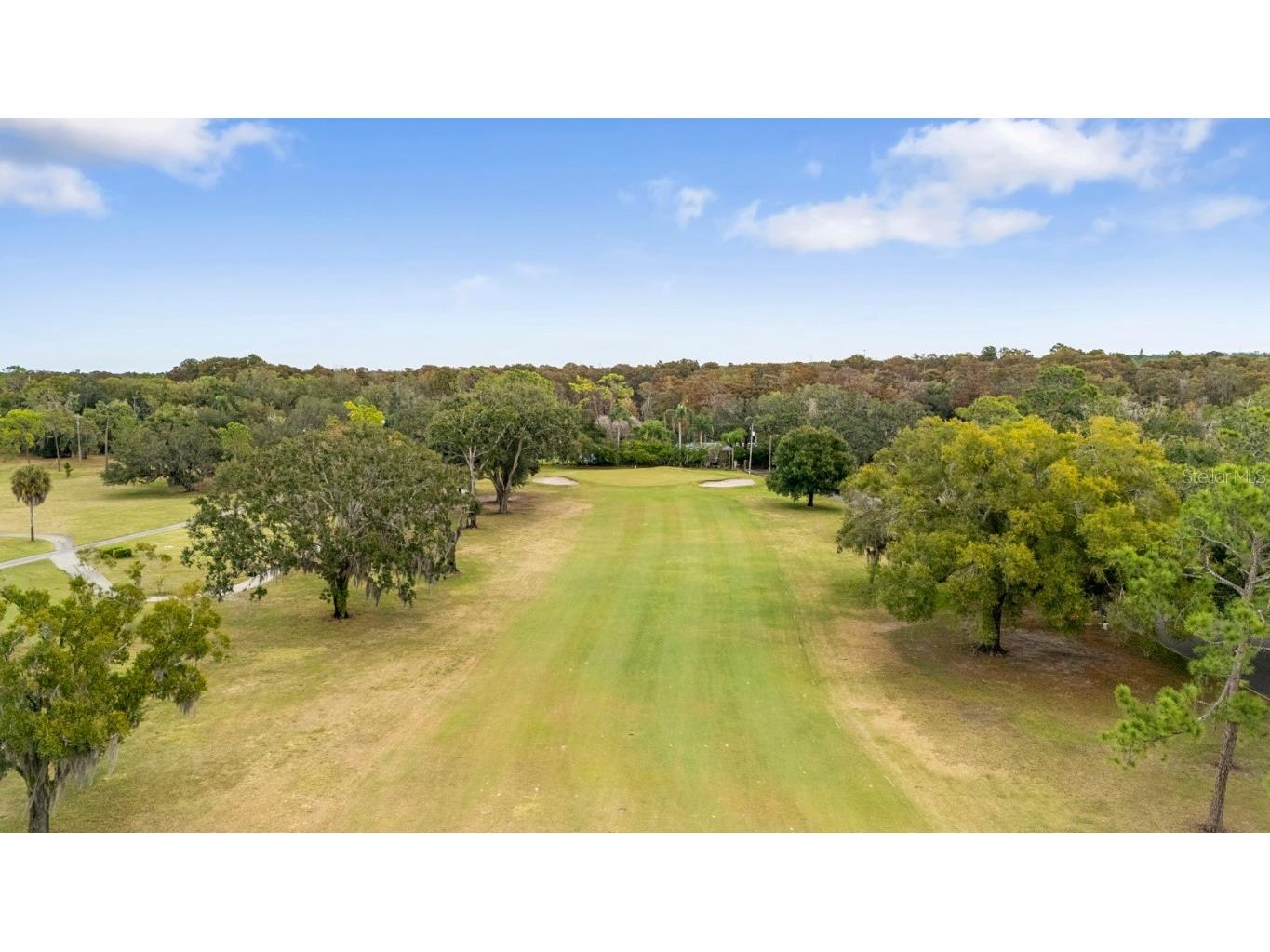 617 S Riverhills Drive Temple Terrace FL 33617 TB8453607 image63