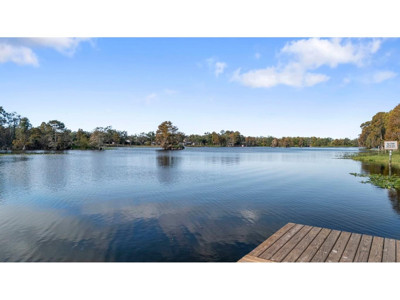 617 S Riverhills Drive Temple Terrace FL 33617 TB8453607 image66