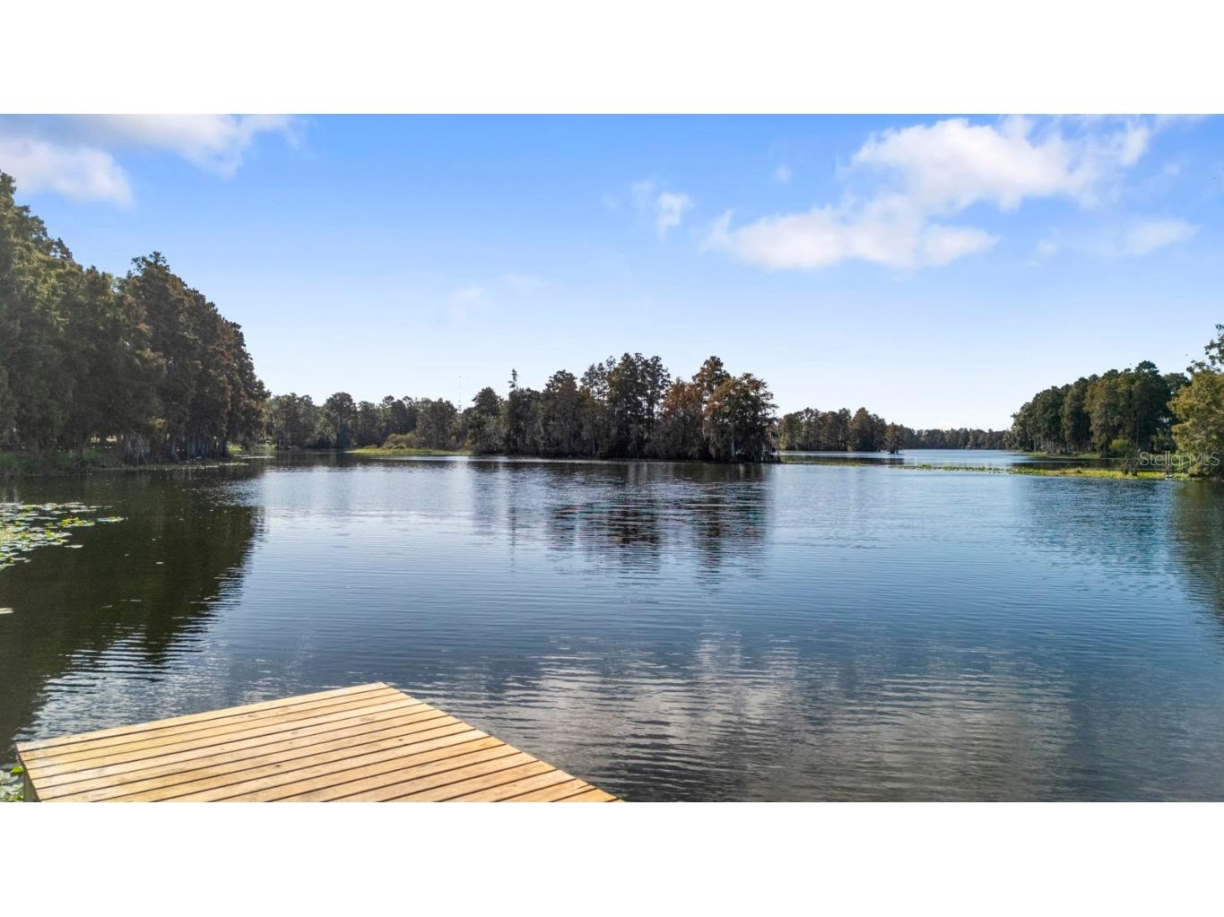 617 S Riverhills Drive Temple Terrace FL 33617 TB8453607 image67