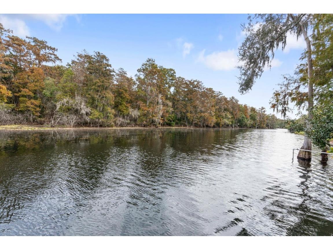 617 S Riverhills Drive Temple Terrace FL 33617 TB8453607 image7