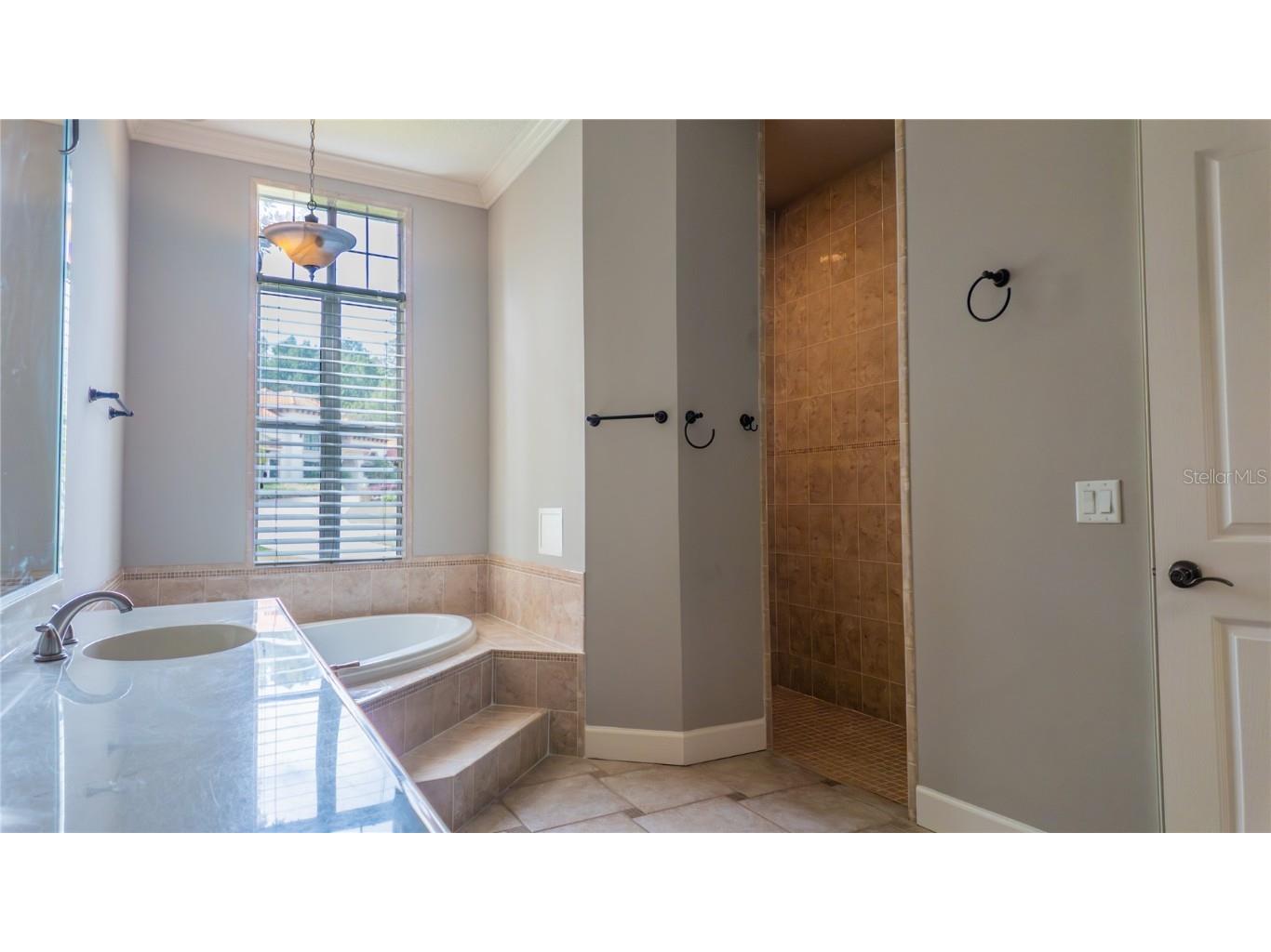 617 SE 47th Loop Ocala FL 34480 OM708037 image15