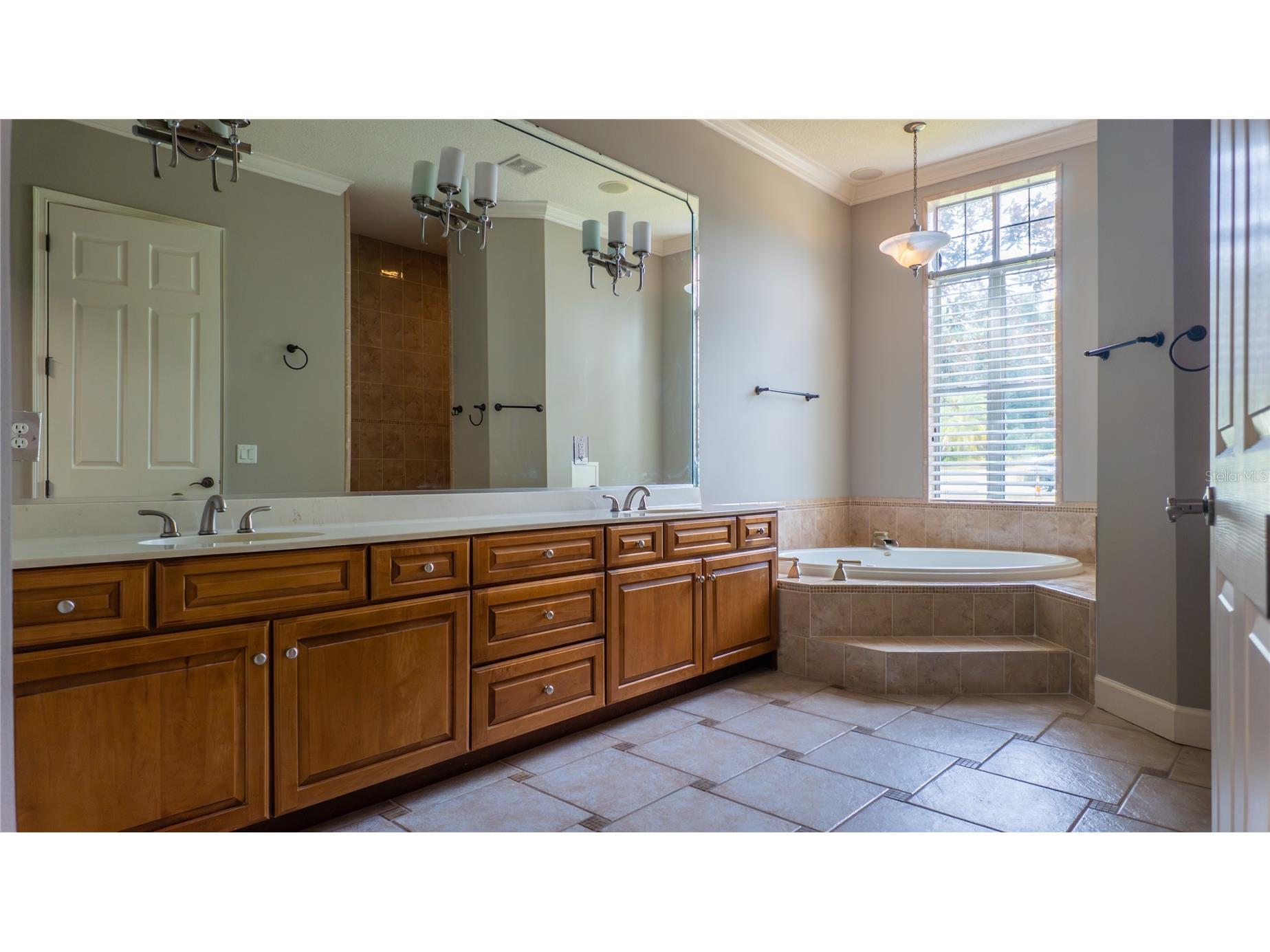 617 SE 47th Loop Ocala FL 34480 OM719828 image29