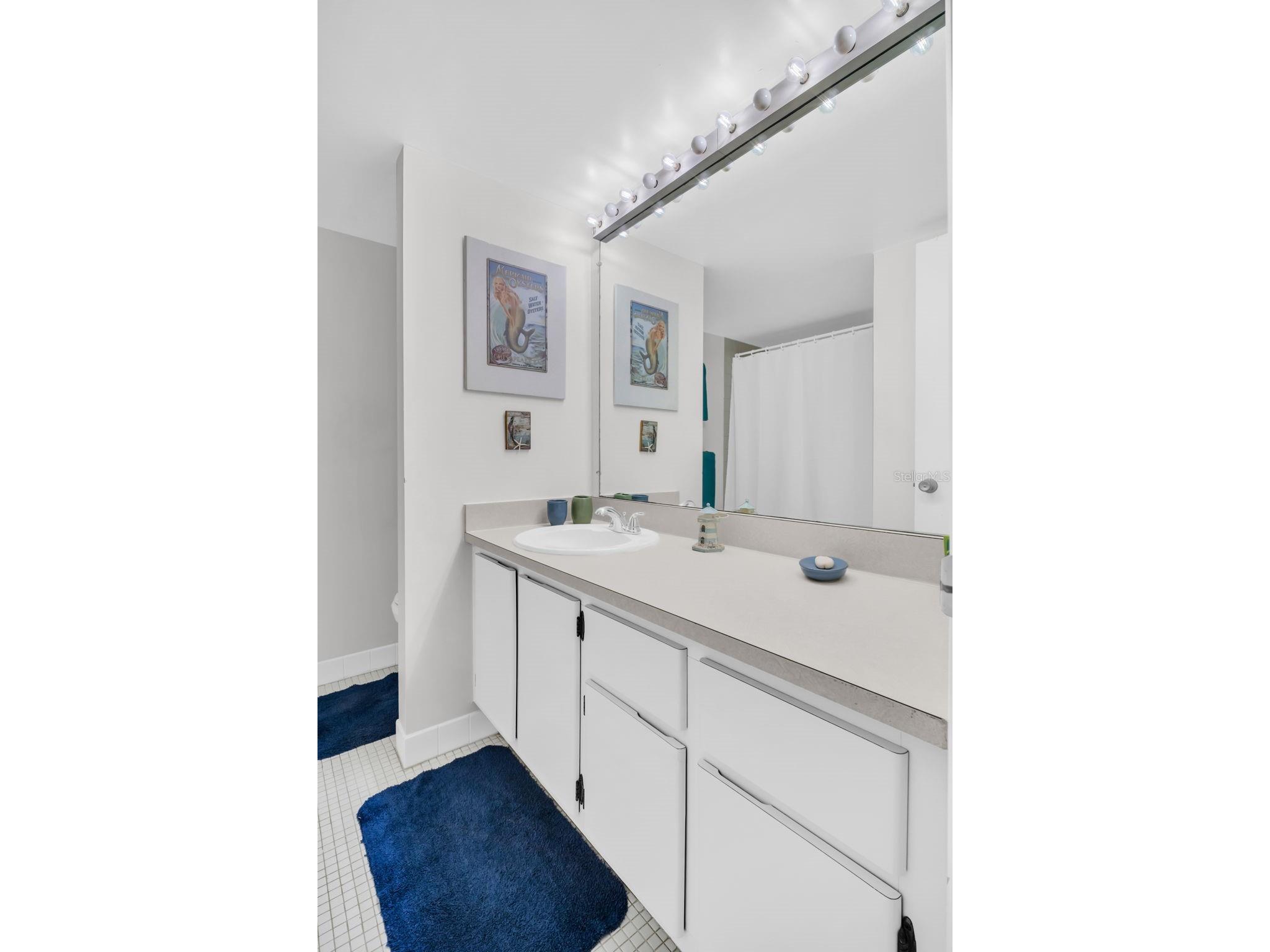 617 Windrush Bay Drive #617 Tarpon Springs FL 34689 - GULF TB8483377 image20