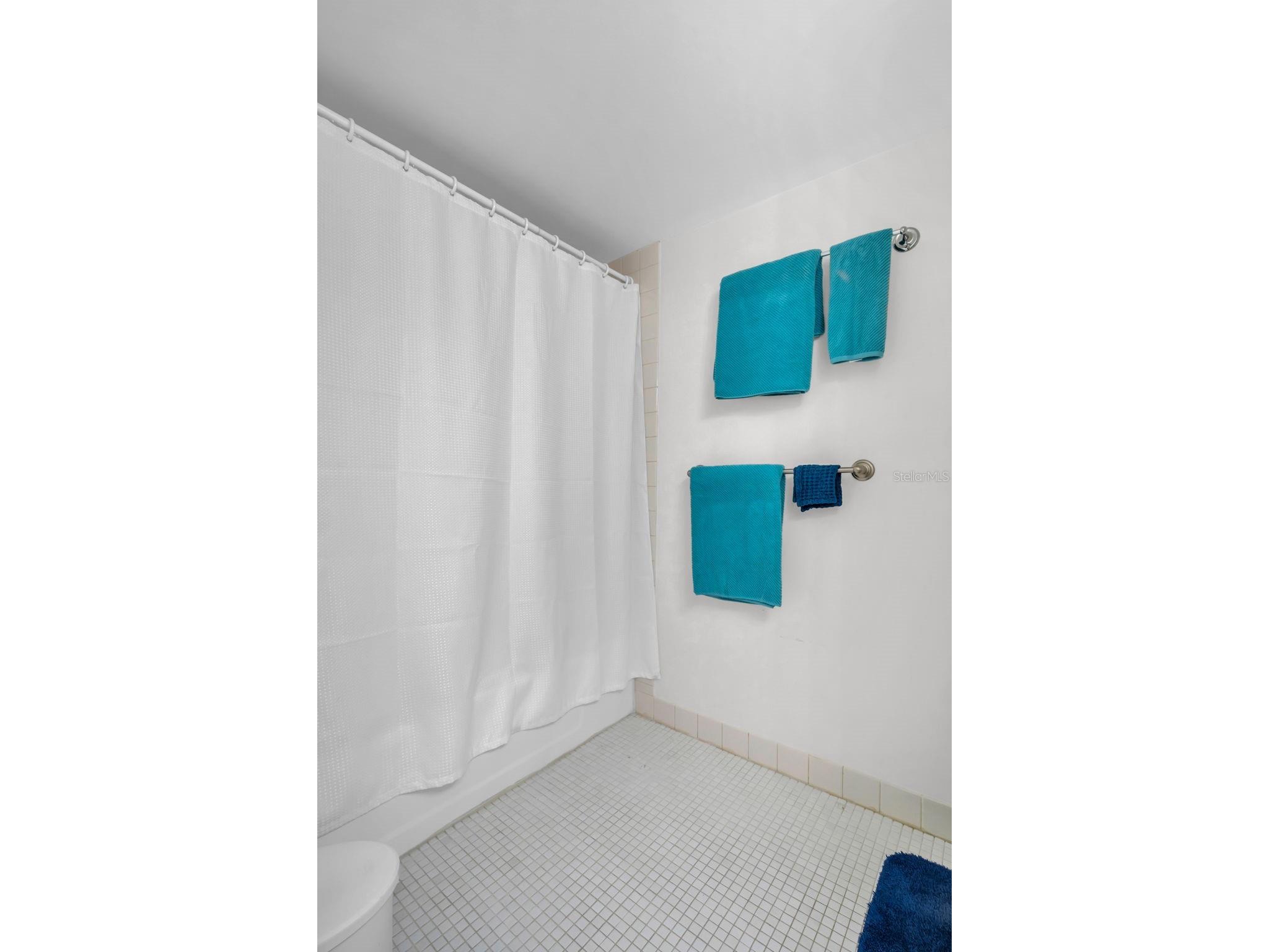 617 Windrush Bay Drive #617 Tarpon Springs FL 34689 - GULF TB8483377 image21