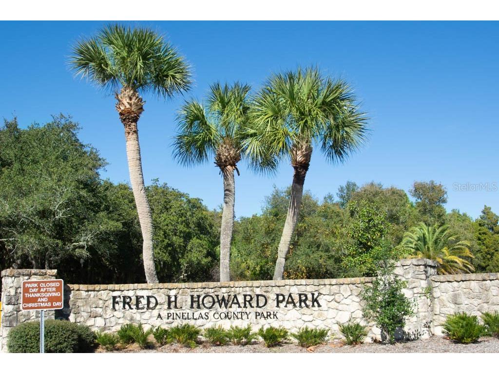 617 Windrush Bay Drive #617 Tarpon Springs FL 34689 - GULF TB8483377 image49