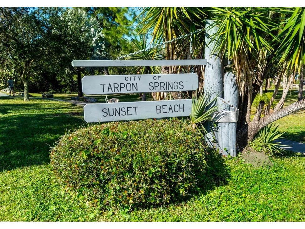617 Windrush Bay Drive #617 Tarpon Springs FL 34689 - GULF TB8483377 image56