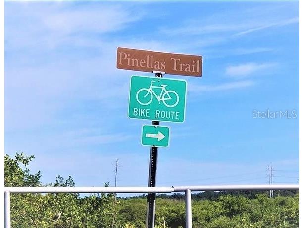 617 Windrush Bay Drive #617 Tarpon Springs FL 34689 - GULF TB8483377 image59