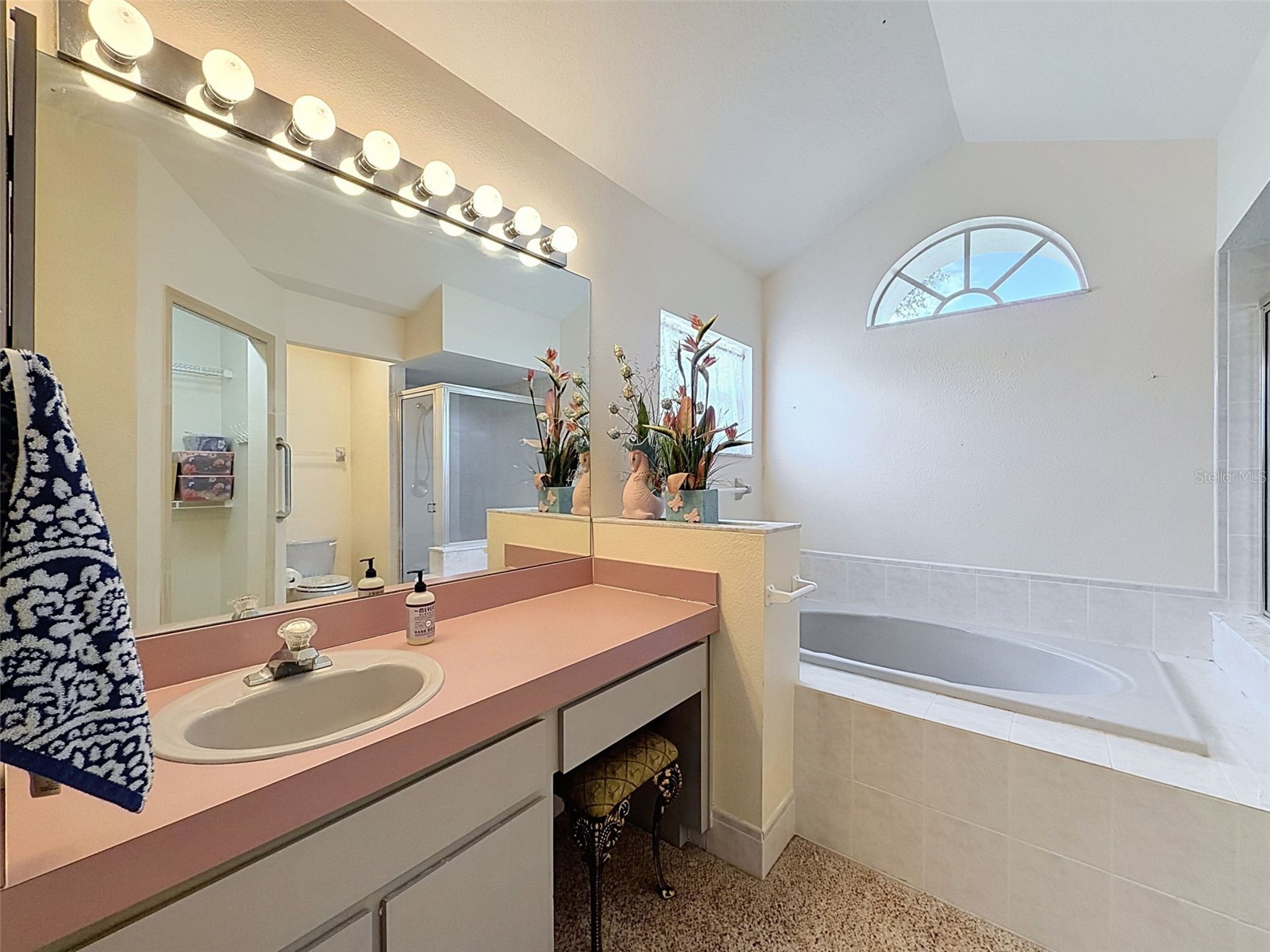 6170 Gainsboro Avenue Spring Hill FL 34609 W7887006 image29