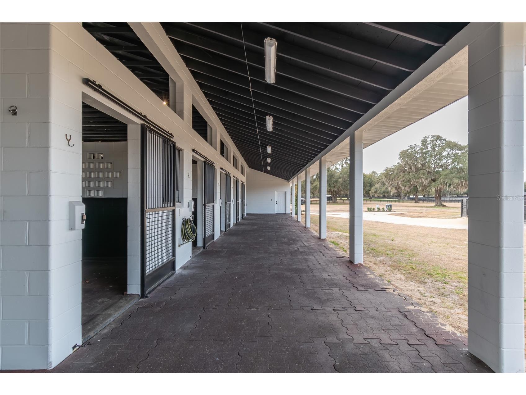 6170 NW 135th Avenue Morriston FL 32668 OM719304 image14