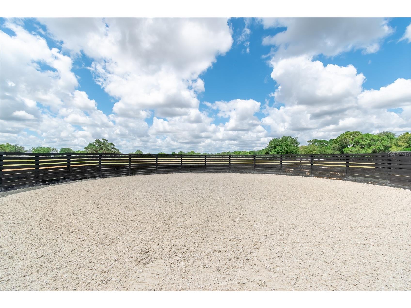 6170 NW 135th Avenue Morriston FL 32668 OM719304 image23