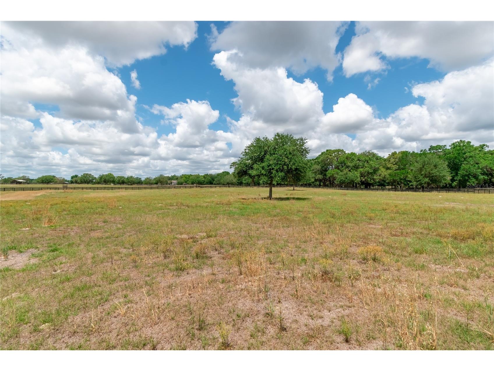 6170 NW 135th Avenue Morriston FL 32668 OM719304 image26