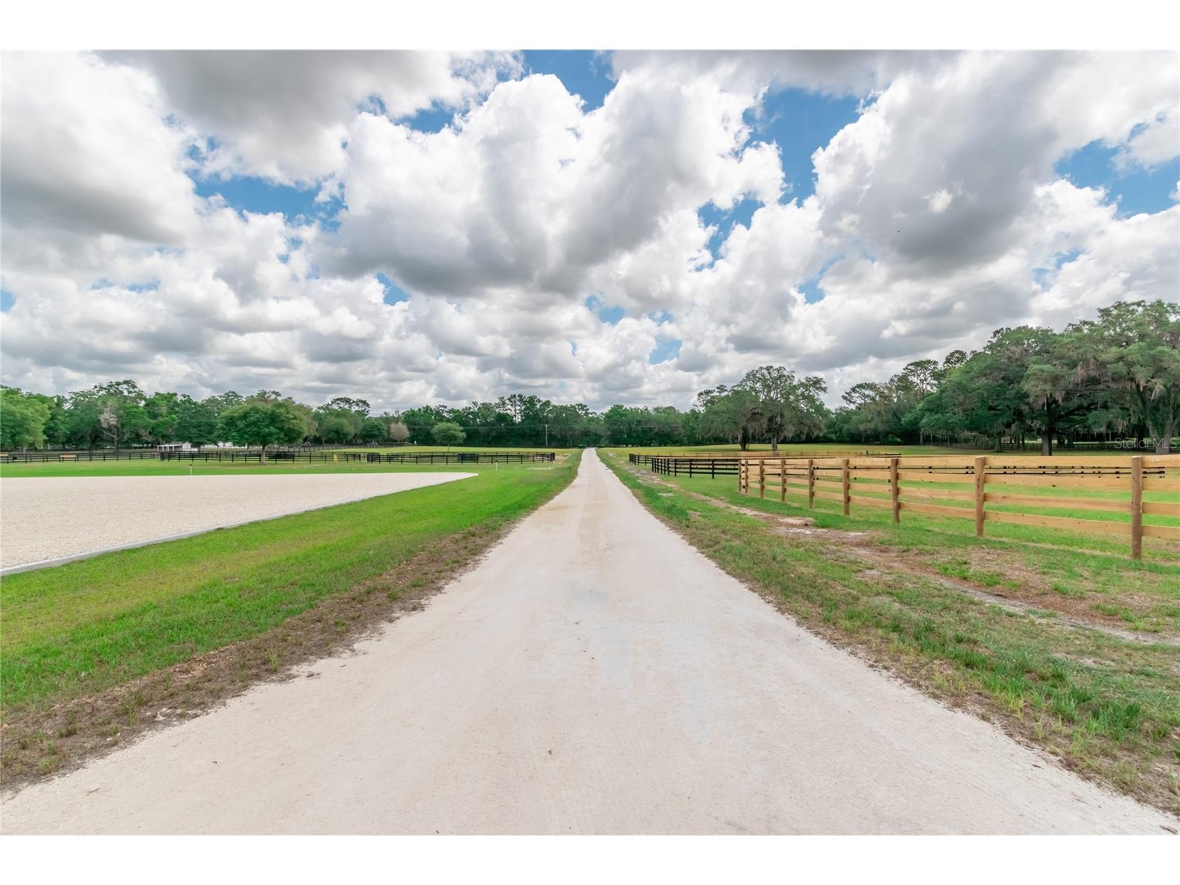 6170 NW 135th Avenue Morriston FL 32668 OM719304 image28