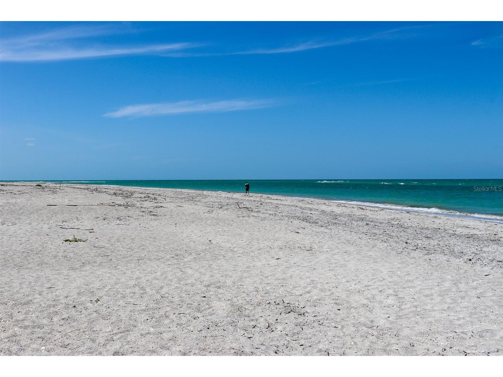 6170 Rum Cove Drive Placida FL 33946 TB8380072 image18