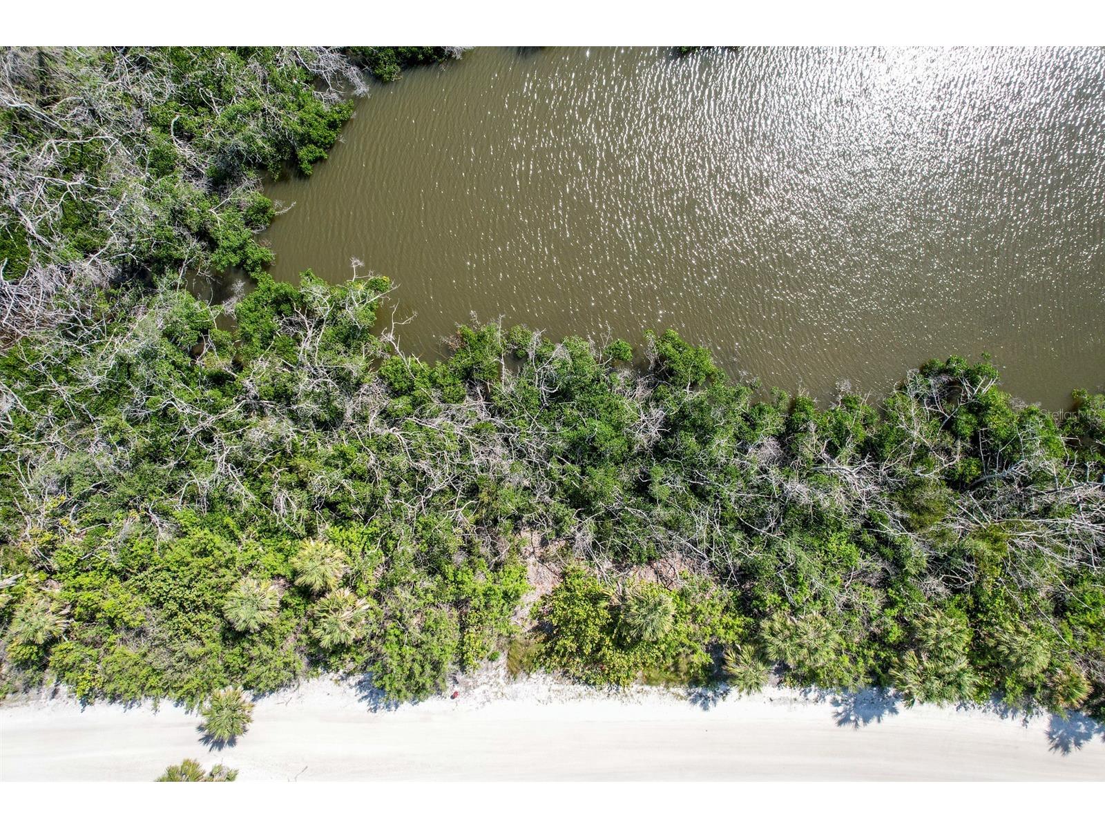 6170 Rum Cove Drive Placida FL 33946 TB8380072 image3
