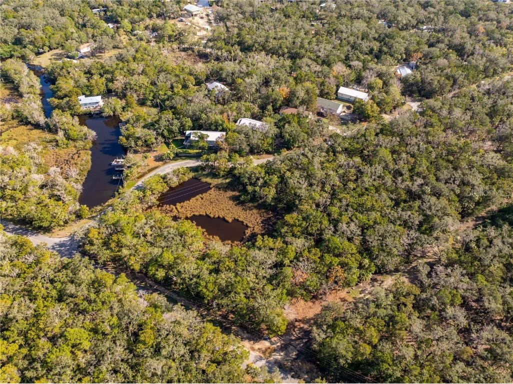 6170 S Westview Drive Homosassa FL 34448 TB8333965 image13