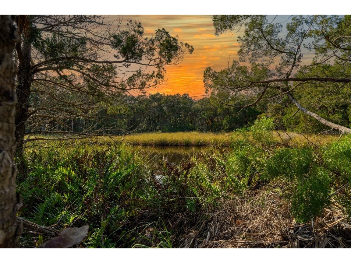 6170 S Westview Drive Homosassa FL 34448 TB8333965 image14