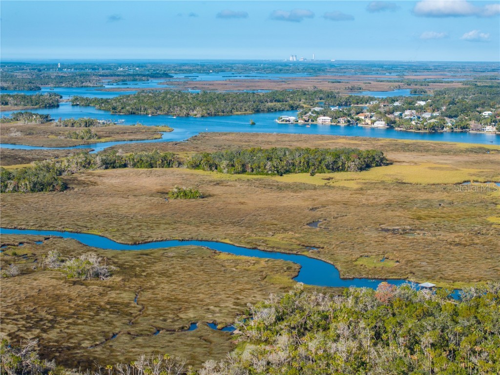 6170 S Westview Drive Homosassa FL 34448 TB8333965 image5