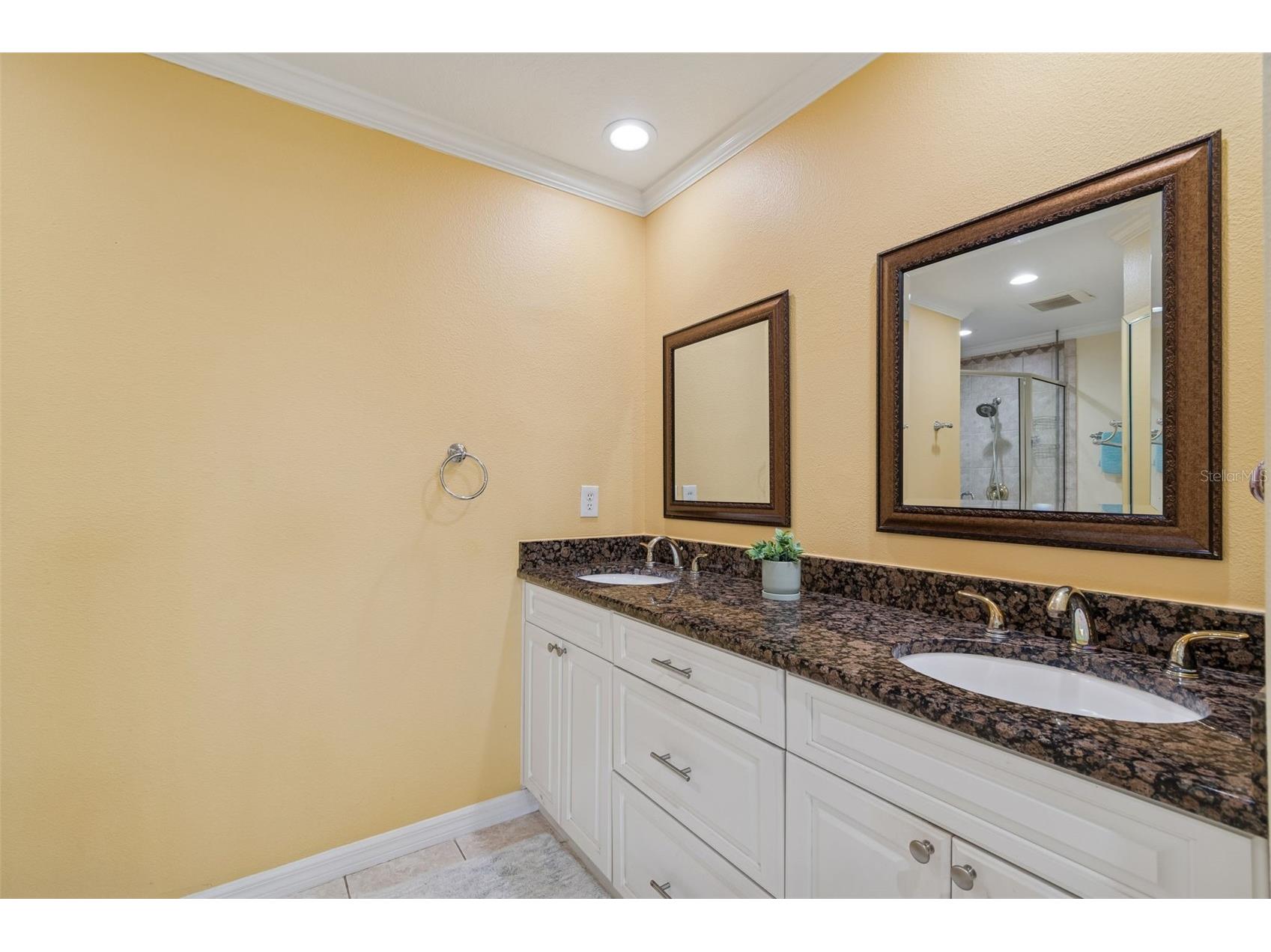 6170 Seaside Drive New Port Richey FL 34652 TB8479237 image35