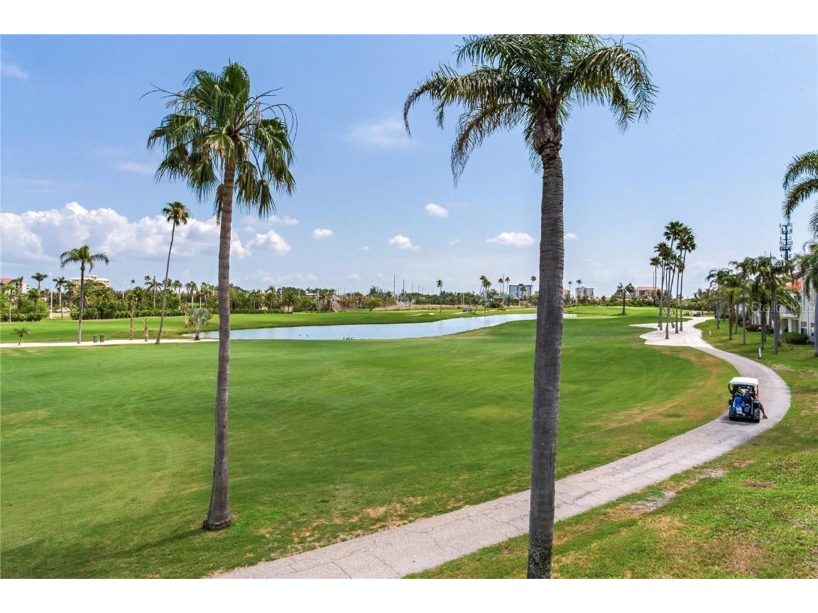 6171 Bahia Del Mar Boulevard #216 Saint Petersburg FL 33715 TB8384629 image34