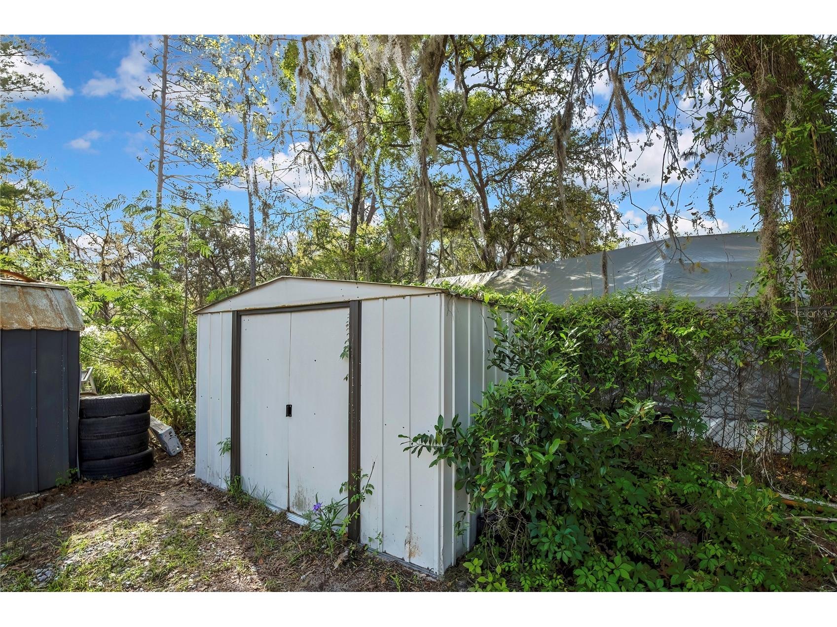6171 S Lisa Point Homosassa FL 34446 TB8493235 image43