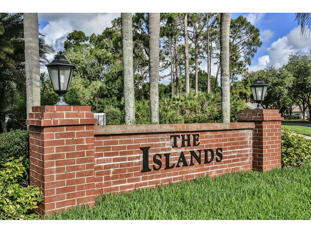 6171 Sabal Point Circle Port Orange FL 32128 V4948554 image38
