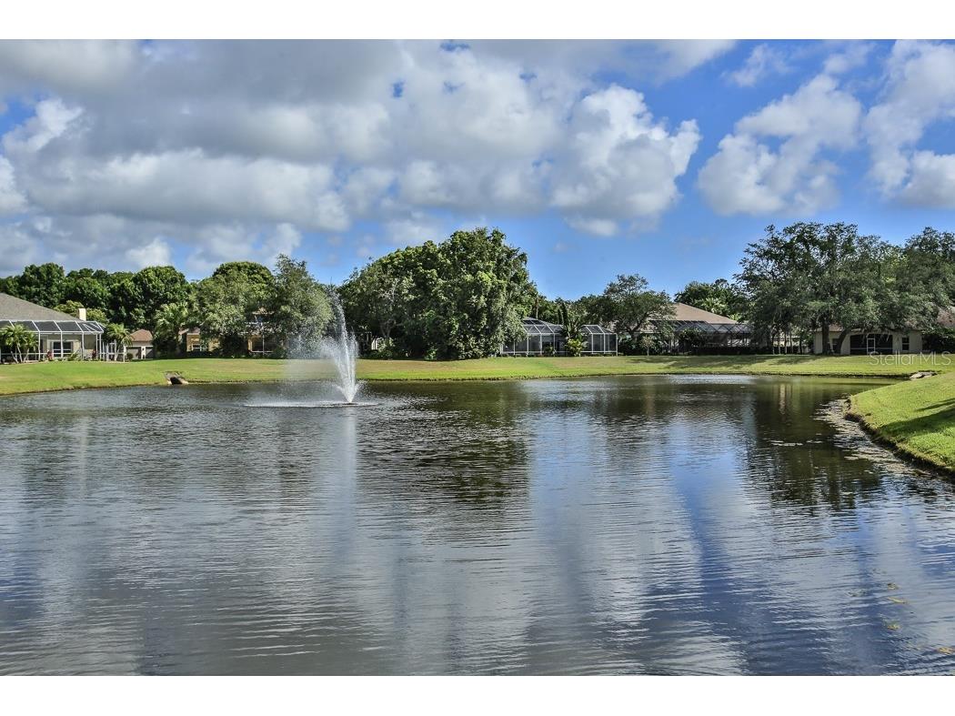 6171 Sabal Point Circle Port Orange FL 32128 V4948554 image39