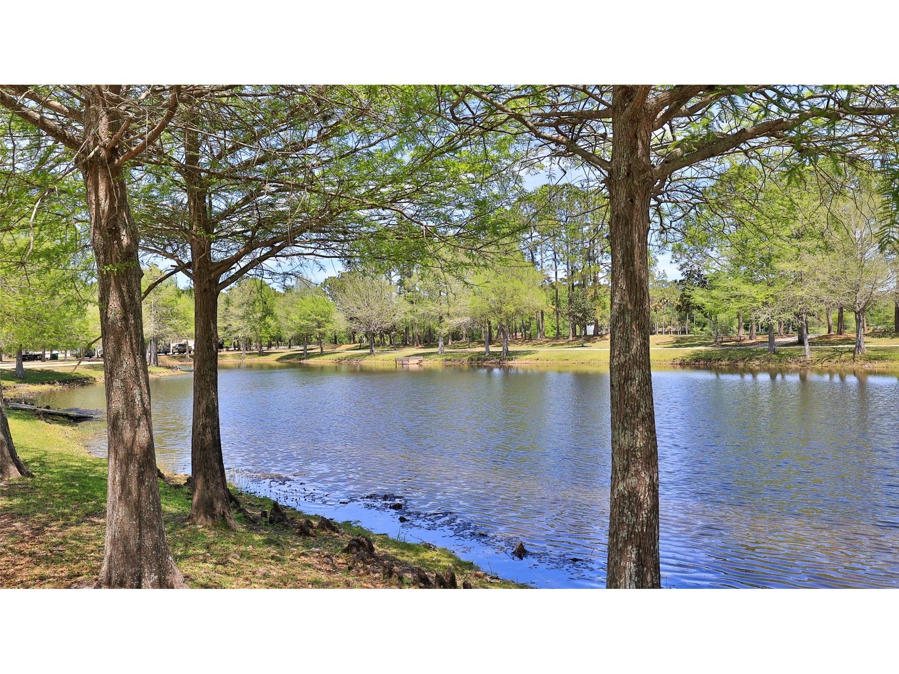 6171 Sabal Point Circle Port Orange FL 32128 V4948554 image51
