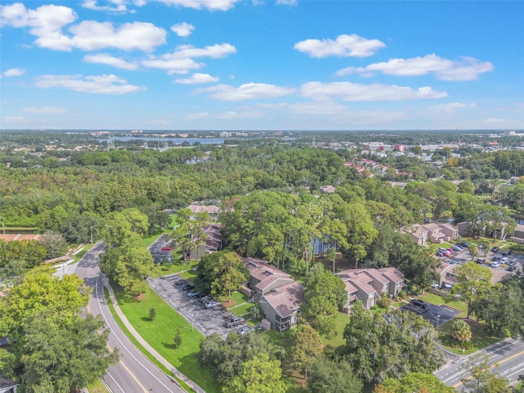 6172 Peregrine Avenue Orlando FL 32819 S5134563 image28