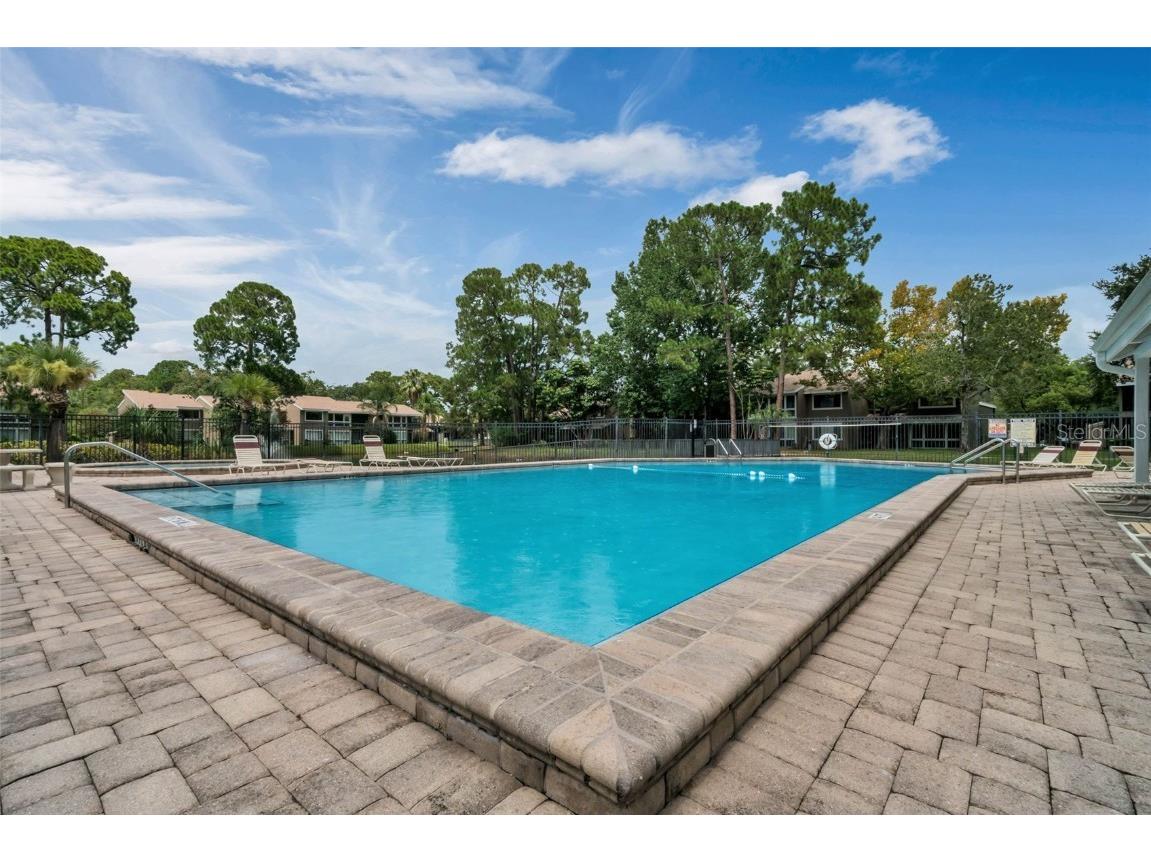 6172 Peregrine Avenue Orlando FL 32819 S5134563 image36