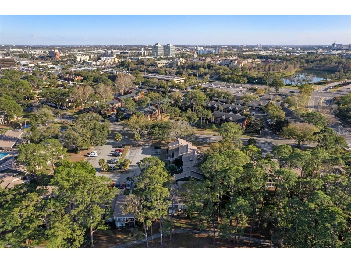 6172 Peregrine Avenue Orlando FL 32819 S5134563 image43