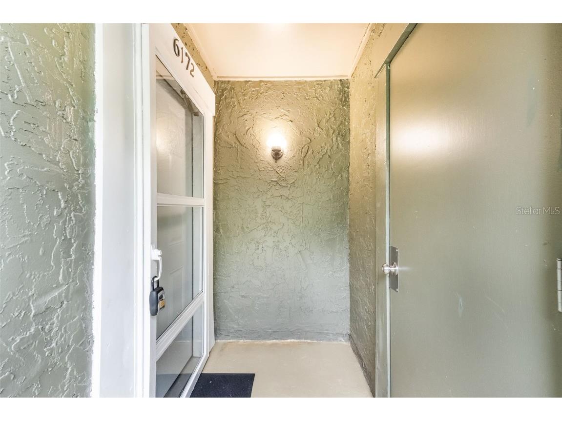 6172 Peregrine Avenue Orlando FL 32819 S5134563 image5