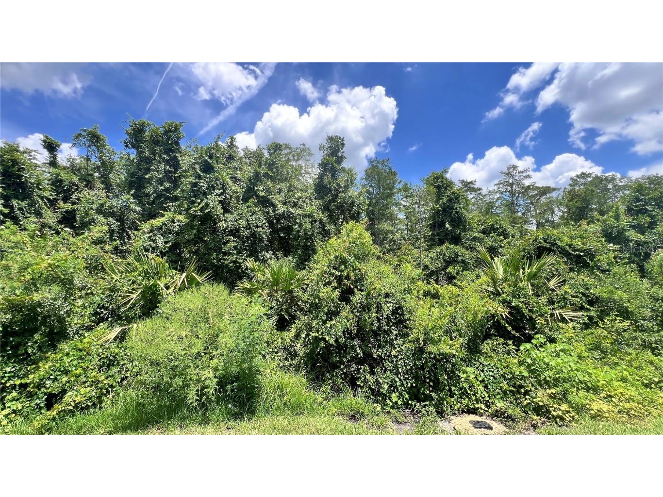 6173 Apollos Corner Way Orlando FL 32829 O6327014 image39