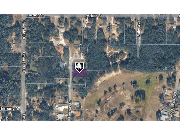 6176 Fairway Drive Ridge Manor FL 33523 TB8465685 image1