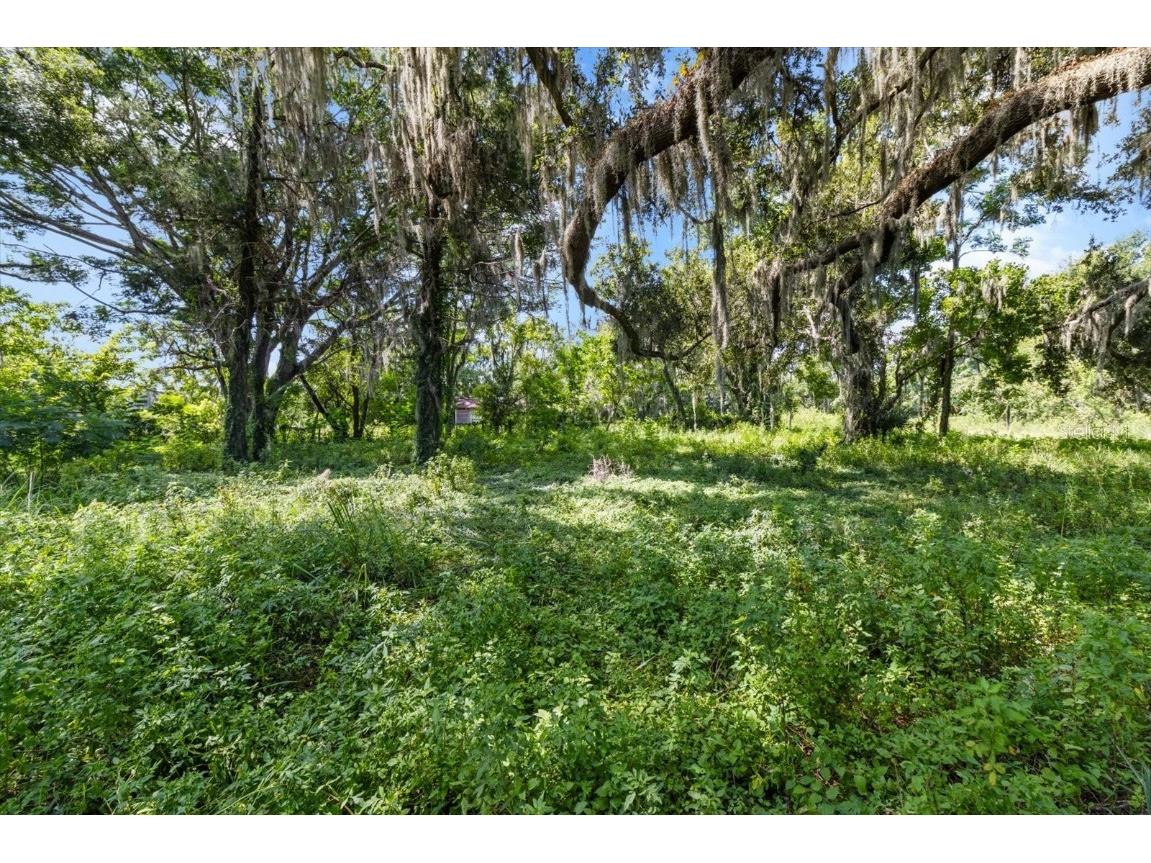 6177 Cr 625 Bushnell FL 33513 TB8411253 image80