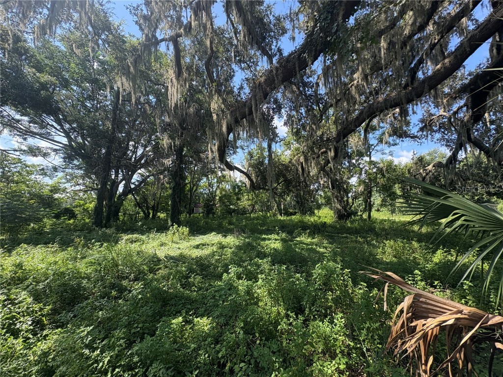 6177 Cr 625 Bushnell FL 33513 TB8411253 image84