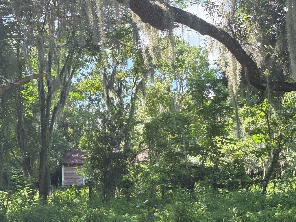 6177 Cr 625 Bushnell FL 33513 TB8411253 image85