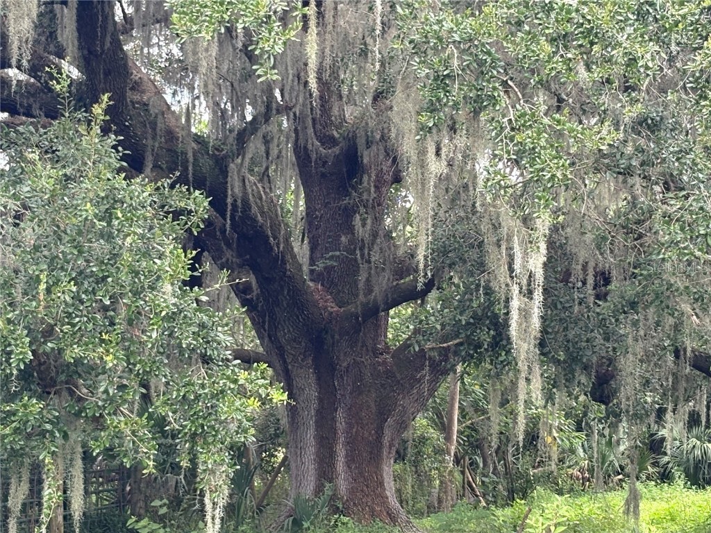 6177 Cr 625 Bushnell FL 33513 TB8411253 image89