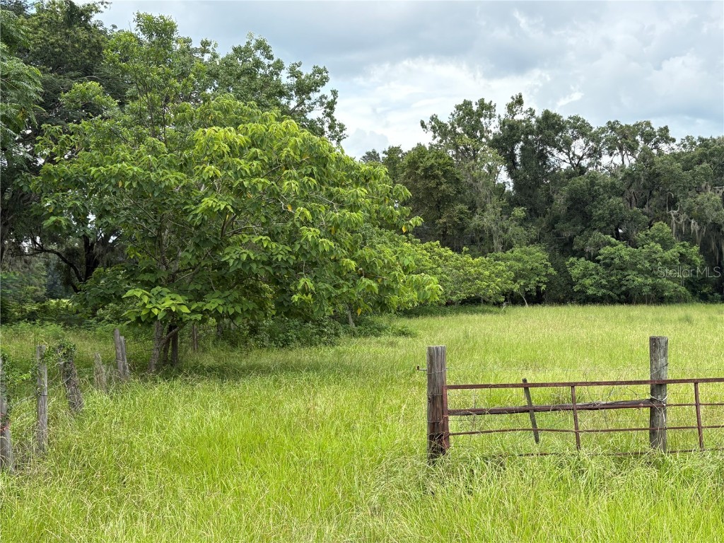 6177 Cr 625 Bushnell FL 33513 TB8411253 image90